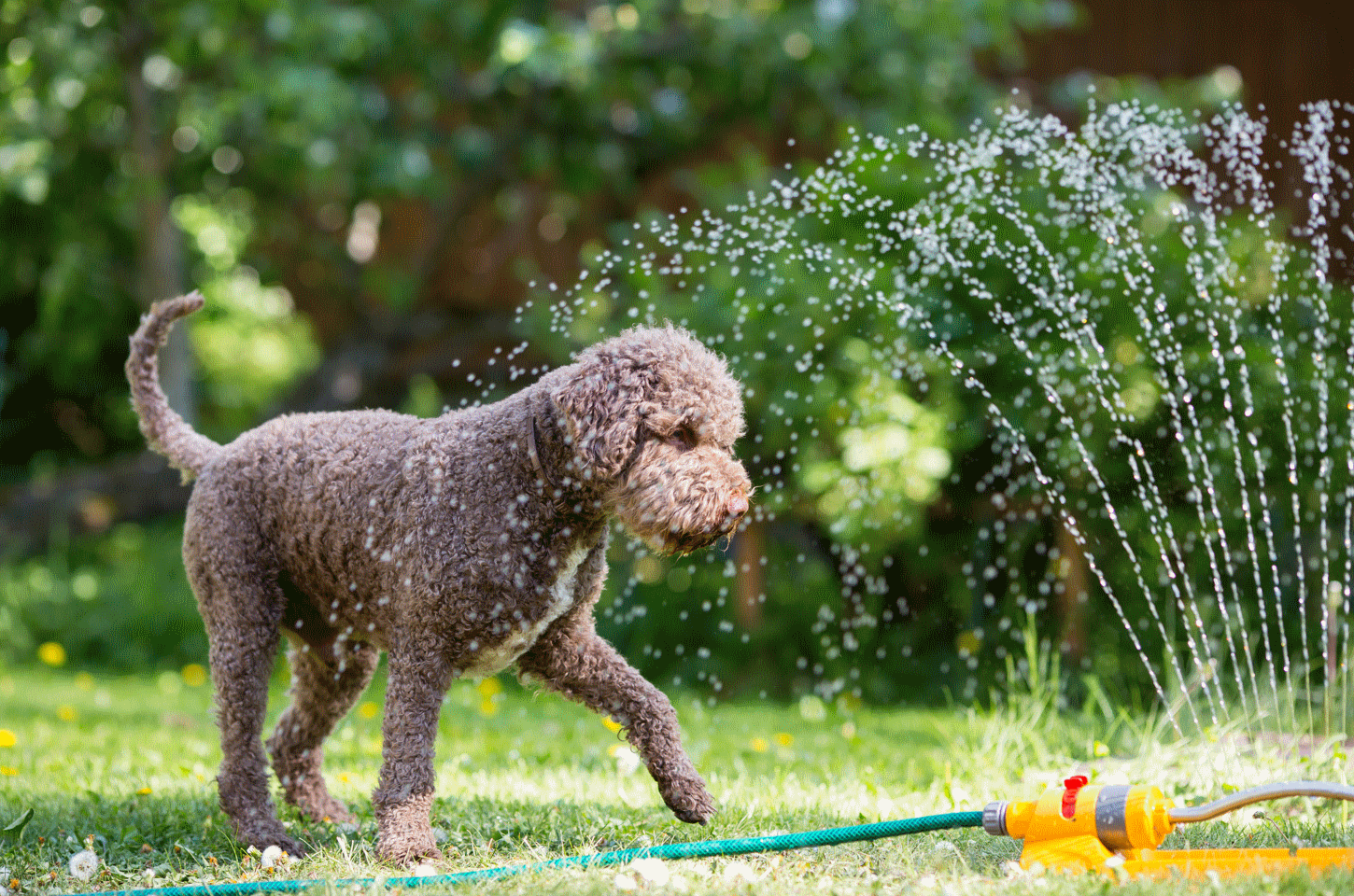 Cool Down! Wie du ...