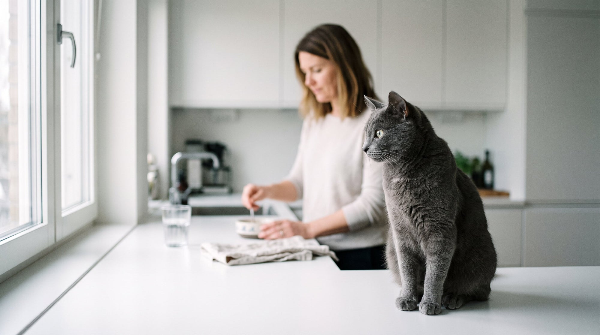 Probiotika für Katzen: Wann sie helfen und worauf du achtest