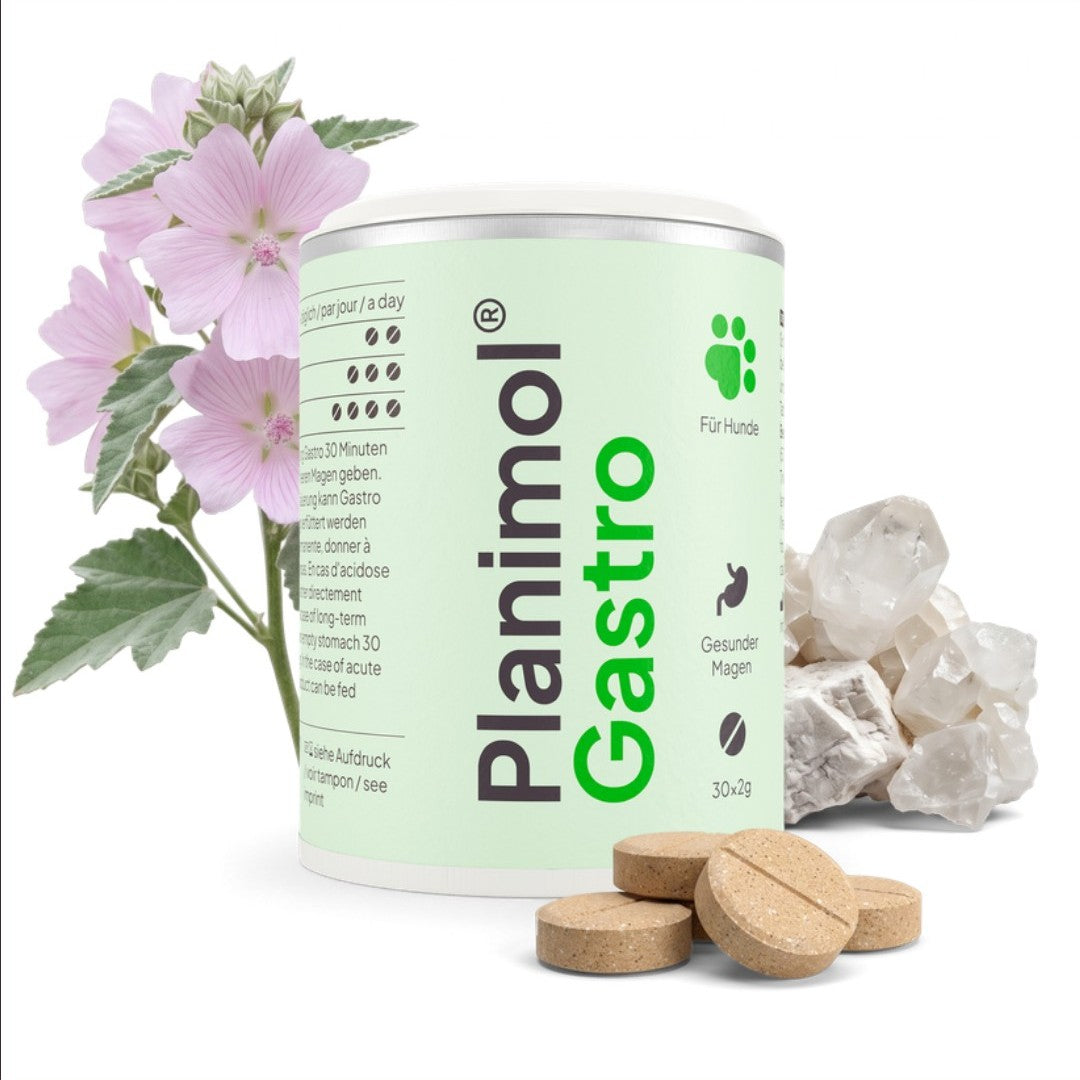 Gastro Tabletten