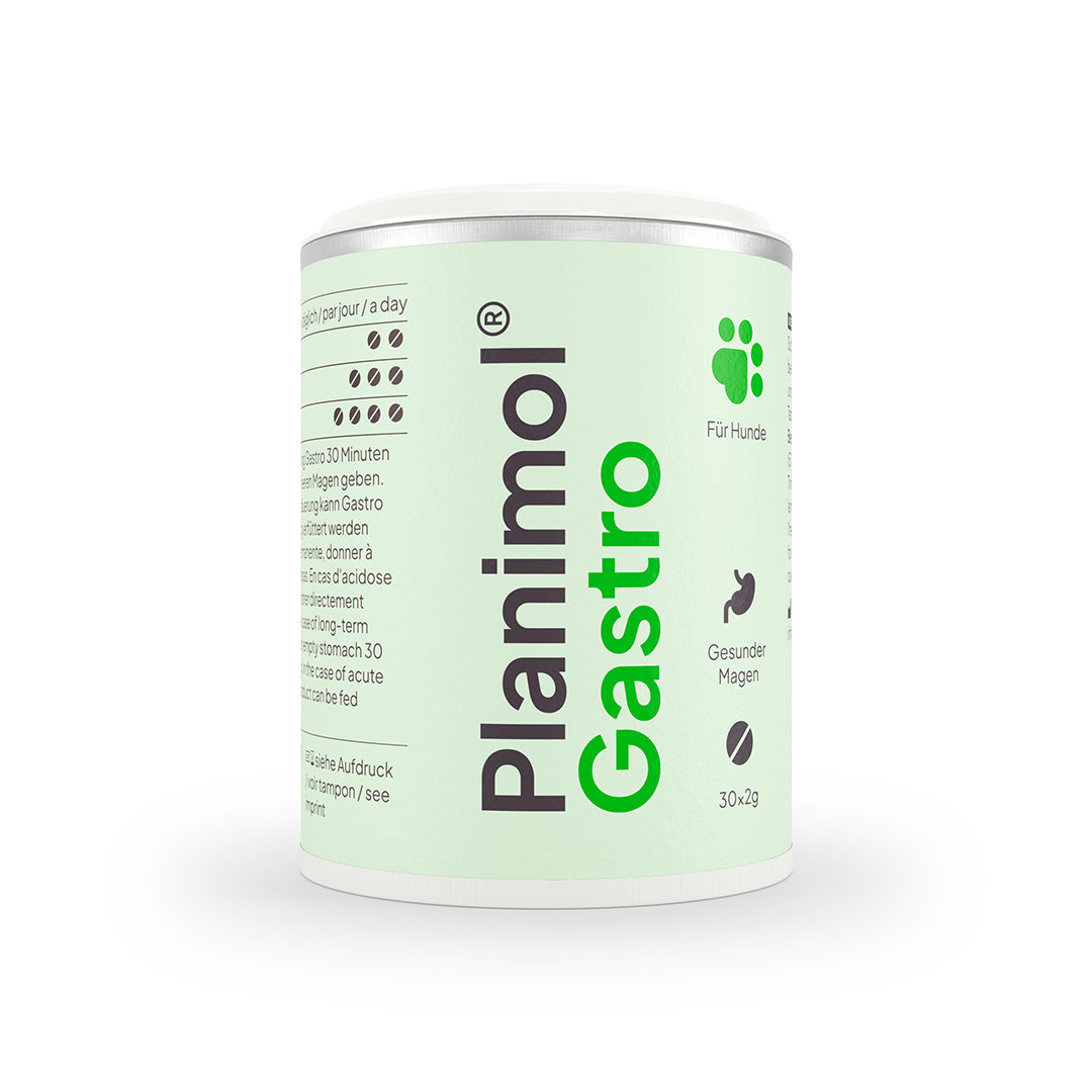 Gastro Tabletten