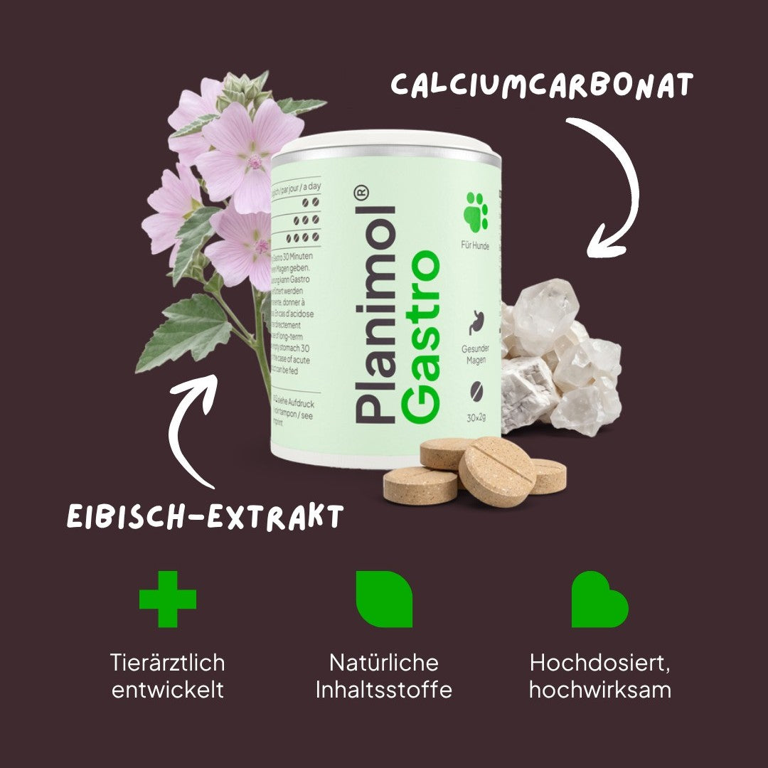 Gastro Tabletten