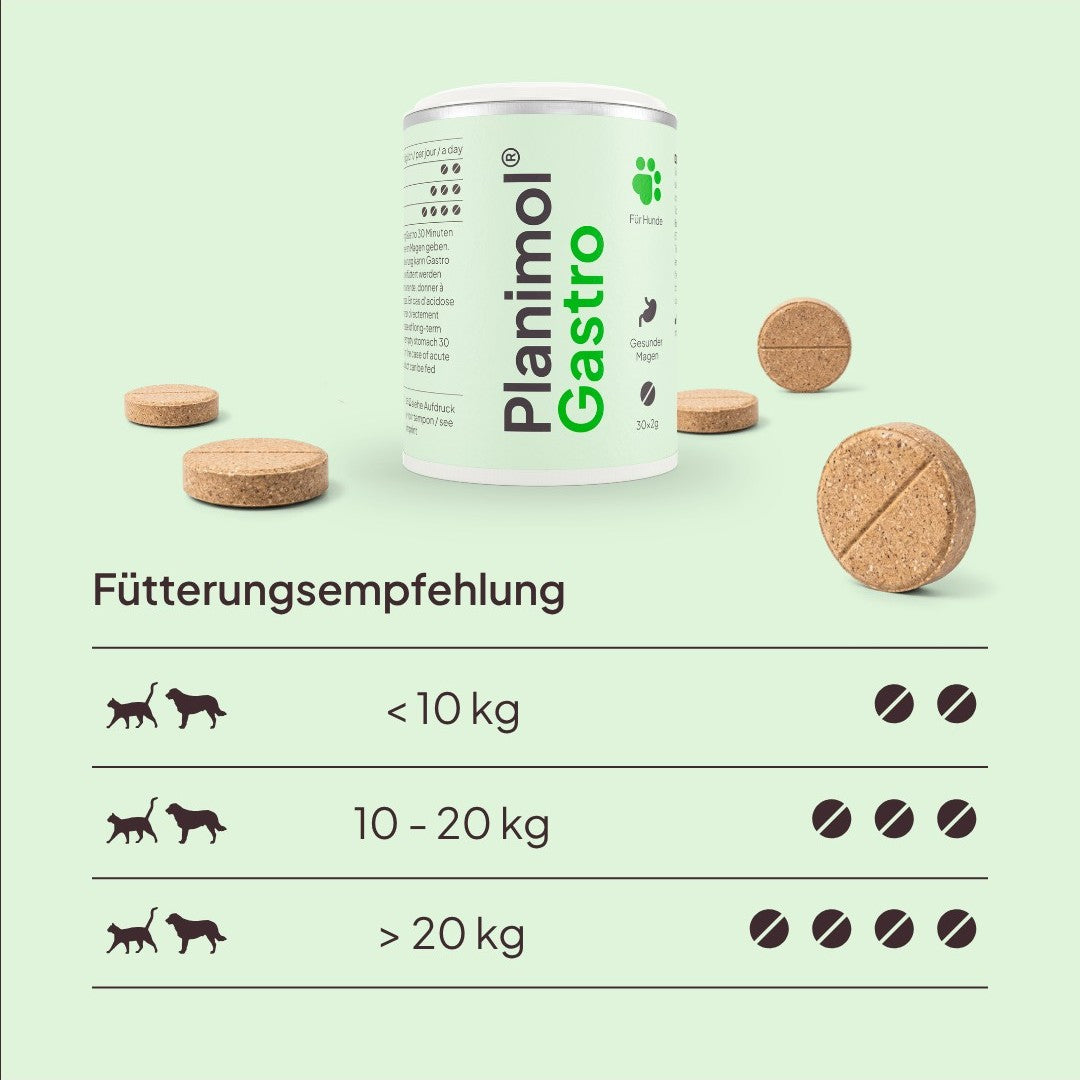 Gastro Tabletten