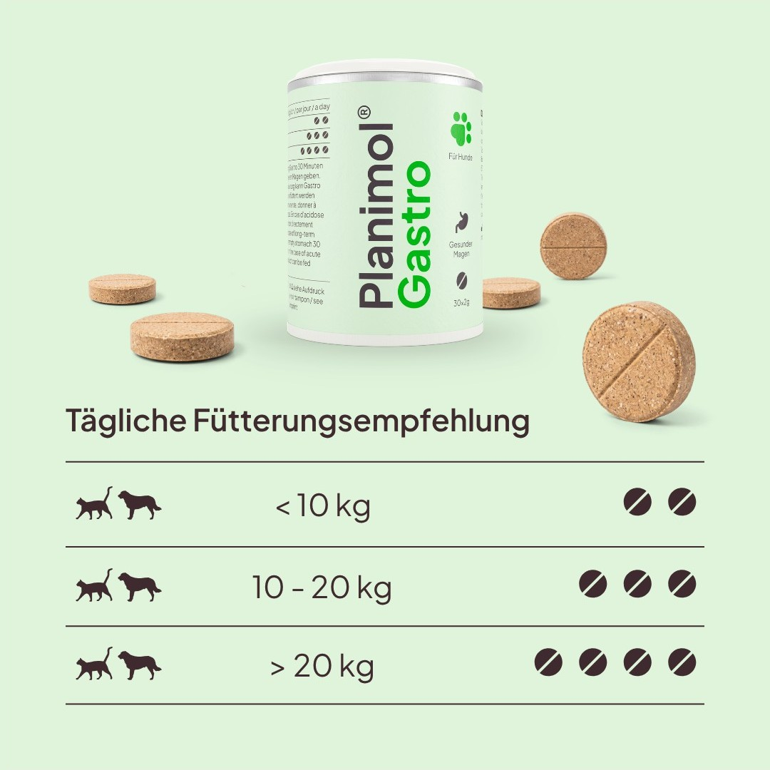 Gastro Tabletten
