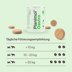 Gastro Tabletten