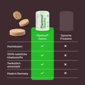 Gastro Tabletten