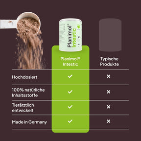 Intestic