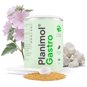 Gastro Pulver