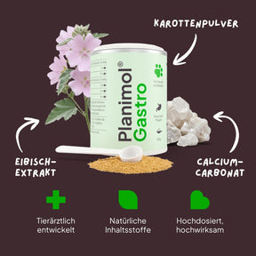 Gastro Pulver