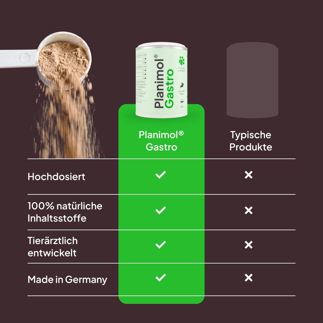 Gastro Pulver
