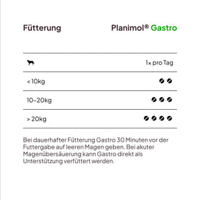 Gastro Tabletten