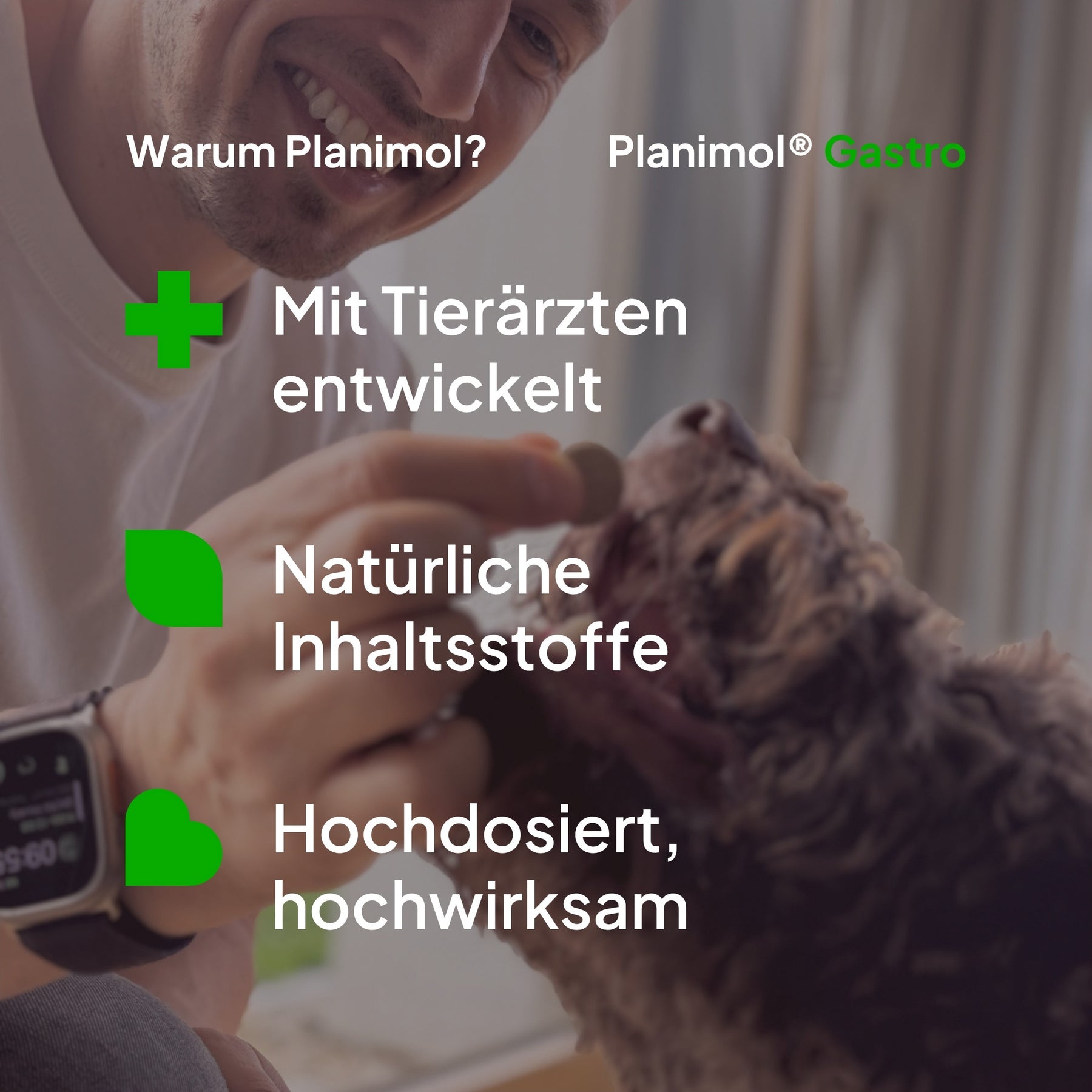 Gastro Tabletten